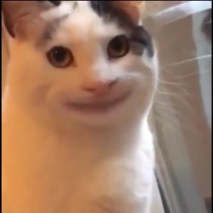 Meet your Posher, Elian